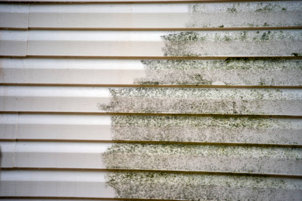 Best Engineered Wood Siding  in Hudsonville, MI