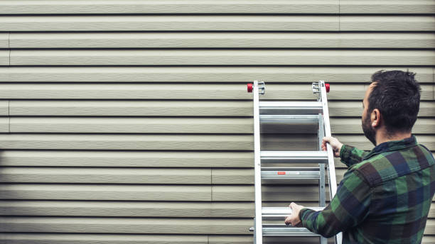 Best Brick Veneer Siding  in Hudsonville, MI