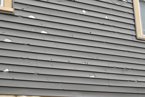 Best Composite Siding  in Hudsonville, MI